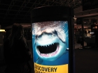 3. The Shark at Charles de Gaulle